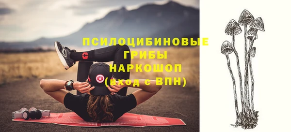 ГАЛЛЮЦИНОГЕННЫЕ ГРИБЫ Балахна