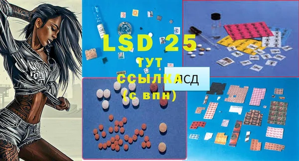ГАЛЛЮЦИНОГЕННЫЕ ГРИБЫ Балахна