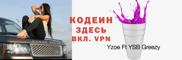 ГАЛЛЮЦИНОГЕННЫЕ ГРИБЫ Балахна