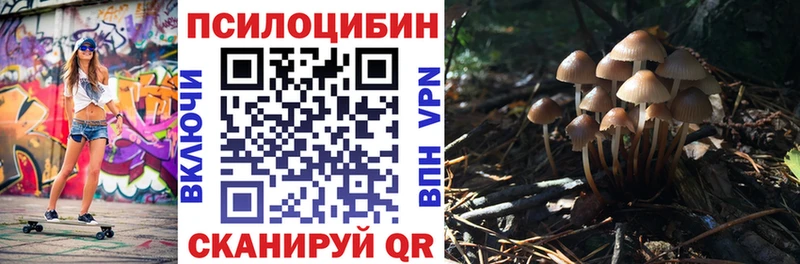 купить наркотик  Демидов  Псилоцибиновые грибы Psilocybine cubensis 